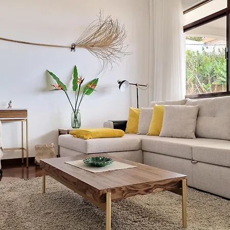 Apartment Branca